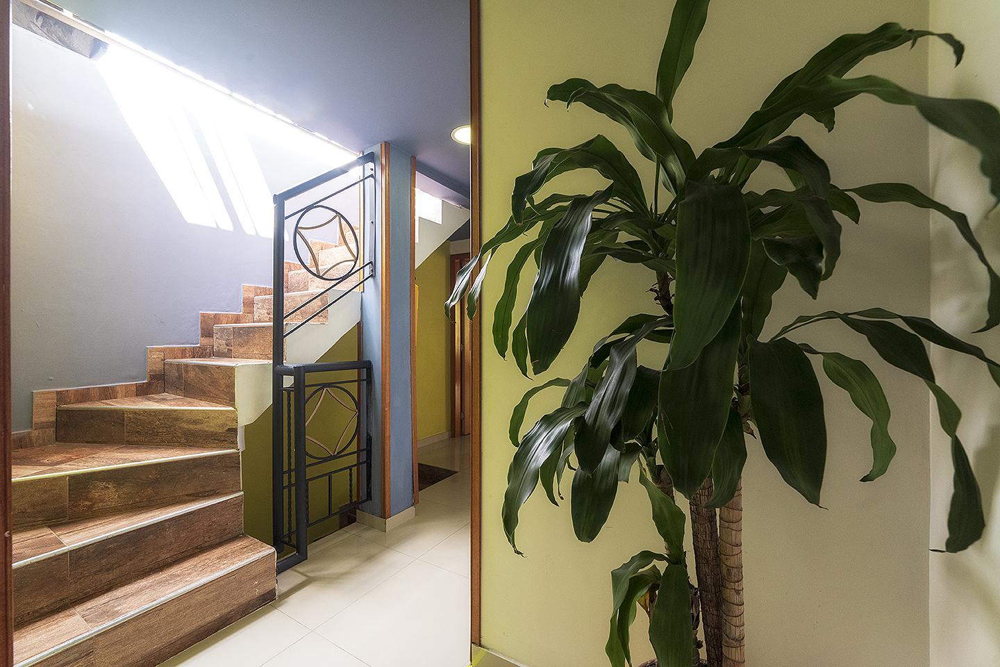 Hotel Ayenda 1405 Ibiza Cali Zewnętrze zdjęcie